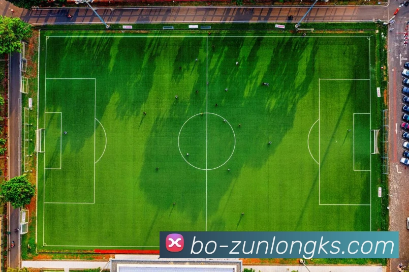 365体育官网APP 高清赛事图